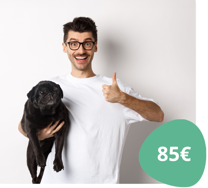 Aprende a descodificar os gatos: Formação essencial para tutores e Pet Sitters