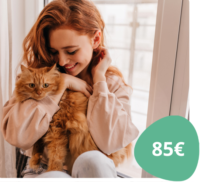 Aprende a descodificar os gatos: Formação essencial para tutores e Pet Sitters