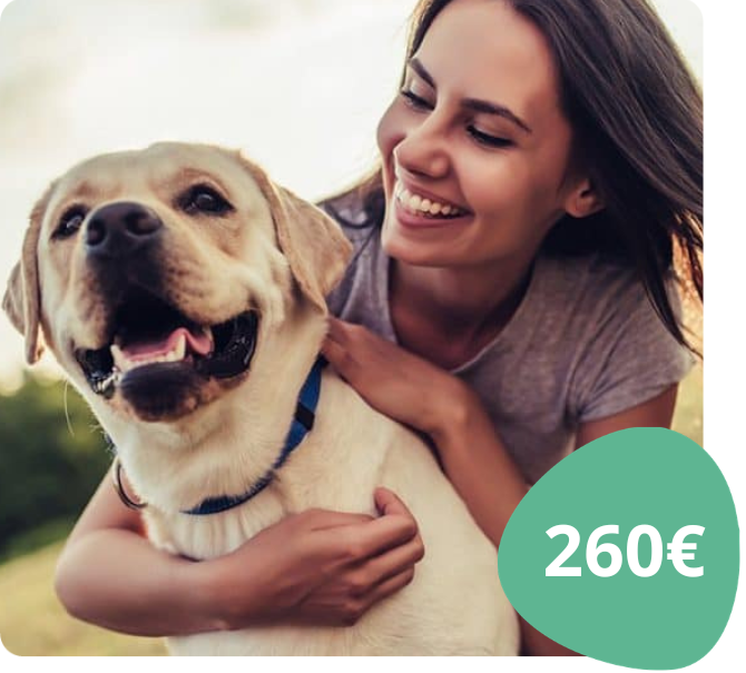 Pet Sitter de cães e gatos: torna-te um profissional (4ª edição)